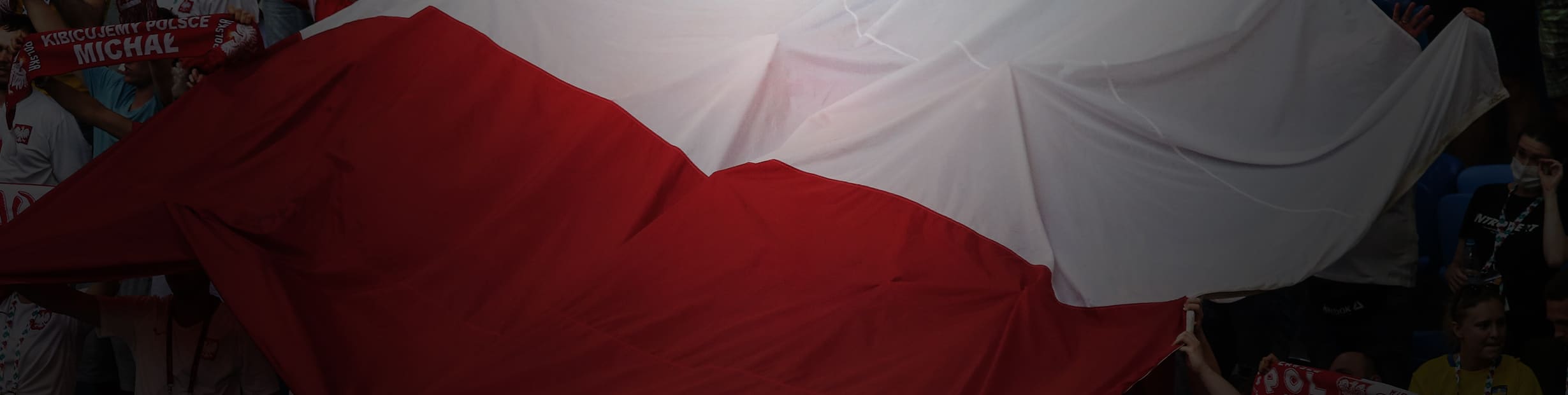 Polen-Fans-Desktop