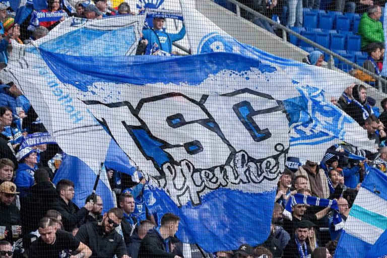 tsg-hoffenheim-fans
