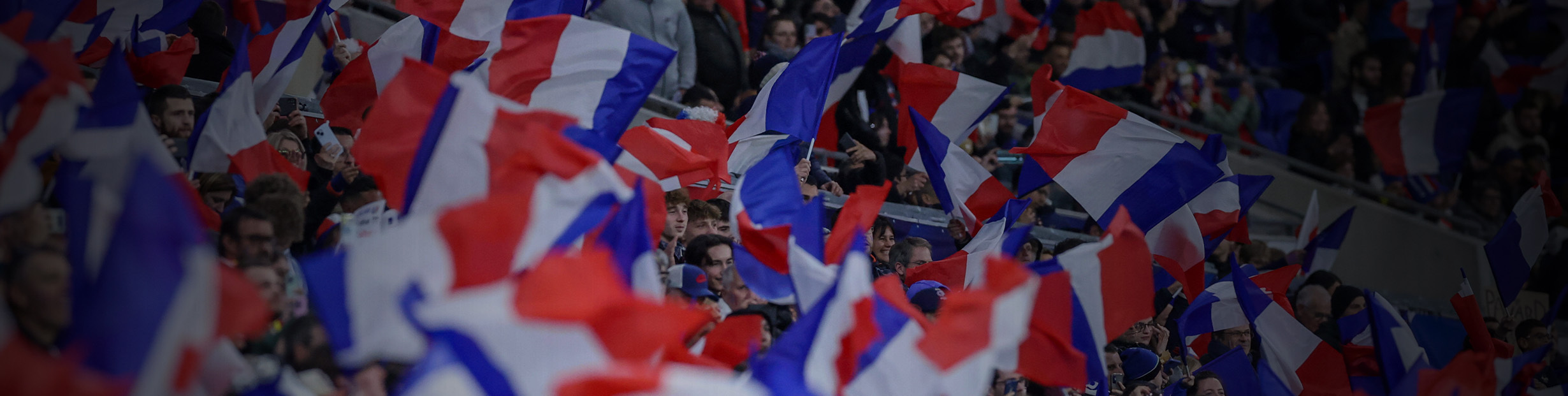 EM Banner Frankreich