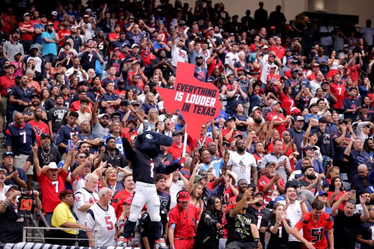houston-texans-fans