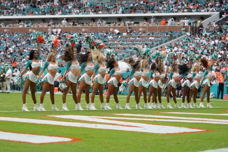 miami-dolphins-fans