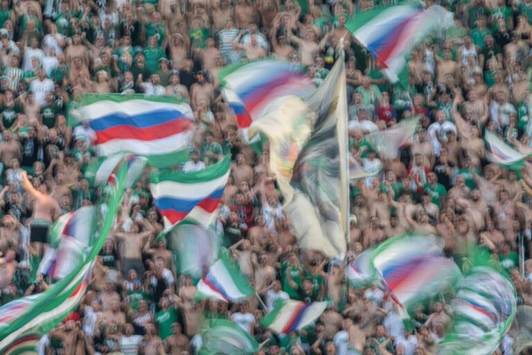 Rapid-Fans