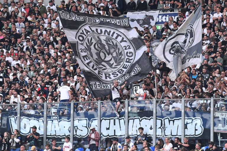 elversberg-fans-flaggen