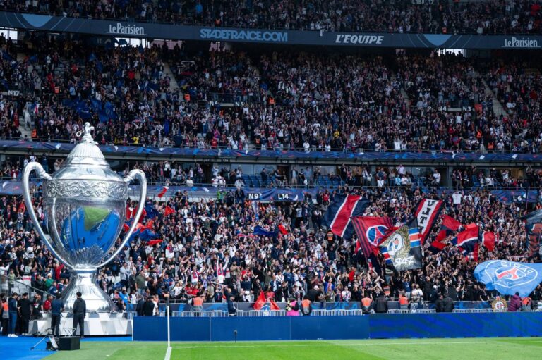 psg-fans-flaggen