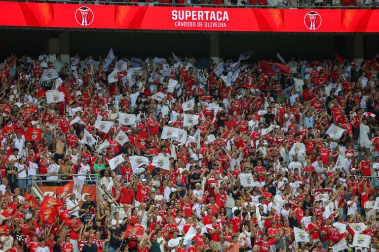 benfica-fans-und-flaggen