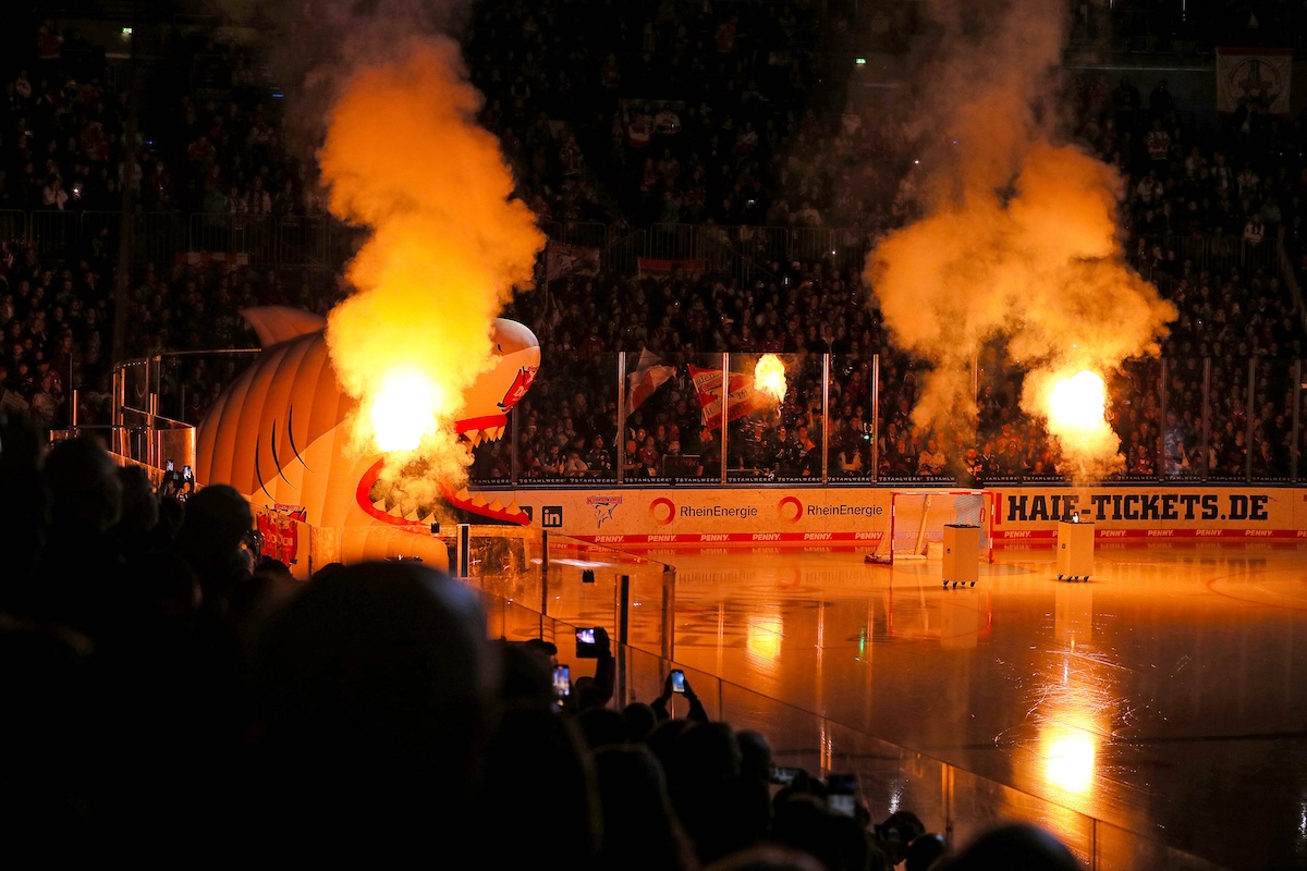 Kölner-Haie-Fans