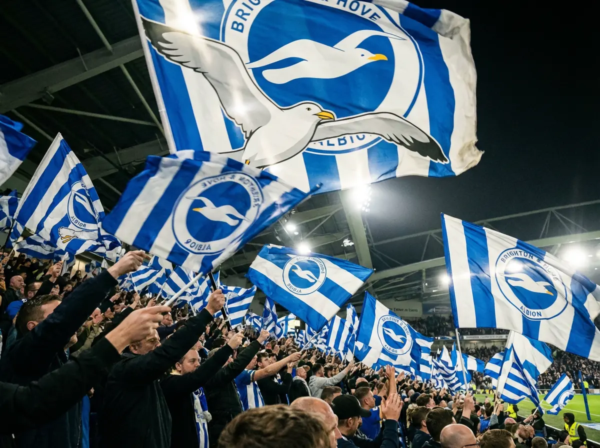 Brighton-Fans