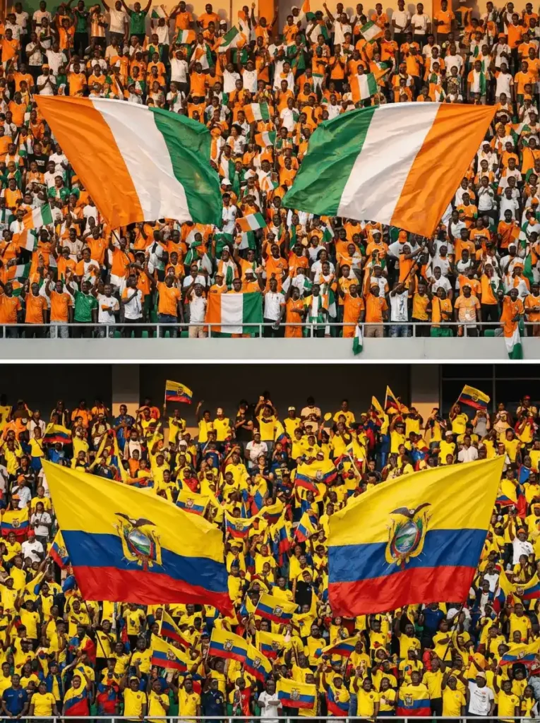 Elfenbeinküste-Ecuador-Fans