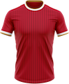 Bayern-trikot-icon