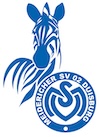 MSV Logo