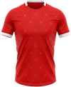 Mainz-trikot-icon