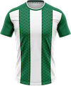 Werder-Bremen-trikot-icon