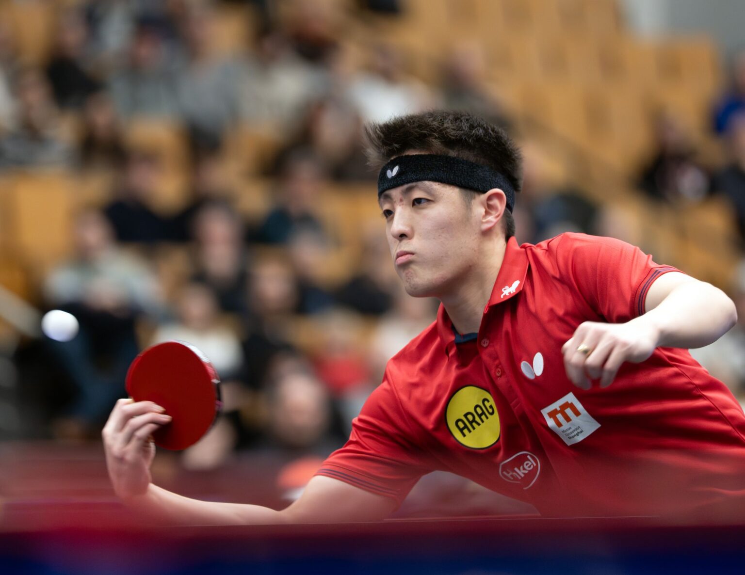 Im EM-Halbfinale: Tischtennis-Profi Dang Qiu.