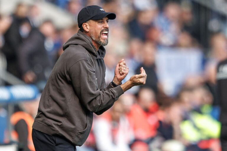 Sandro Wagner arbeitet bei seinem Zweitliga-Debüt als Trainer von Hannover 96 leidenschaftlich an der Seitenlinie.